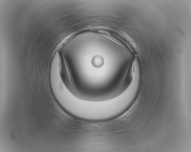 X0000115801369200912111200