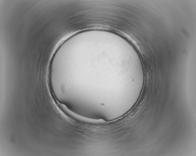 X0000115801379200912111200