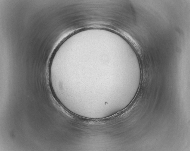 X0000115801384200912111200