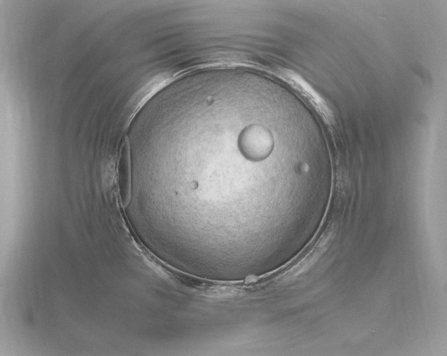 X0000115801385200912111200