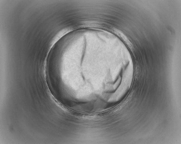 X0000115801386200912111200