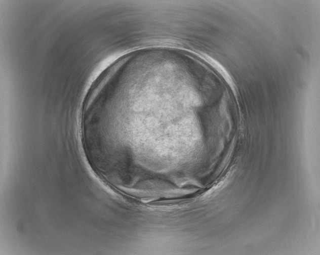 X0000115801389200912111200