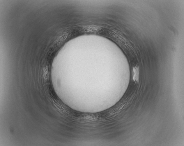 X0000115801395200912111159