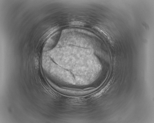 X0000115801401200912111200