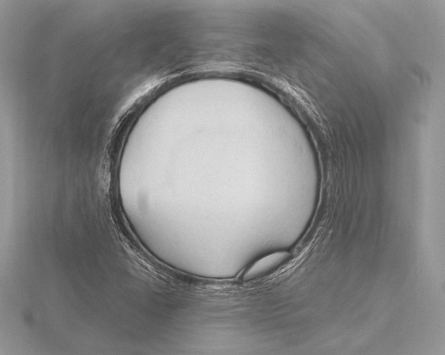 X0000115801406200912111200