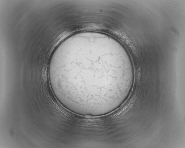 X0000115801409200912111200