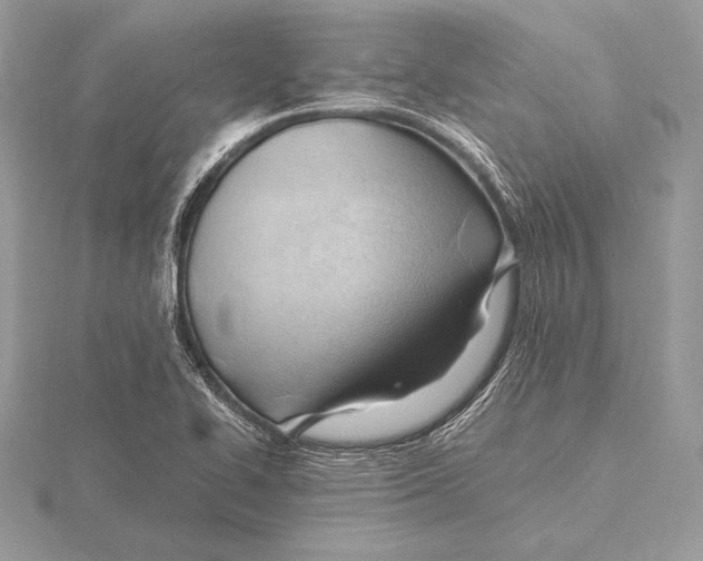 X0000115801414200912111200