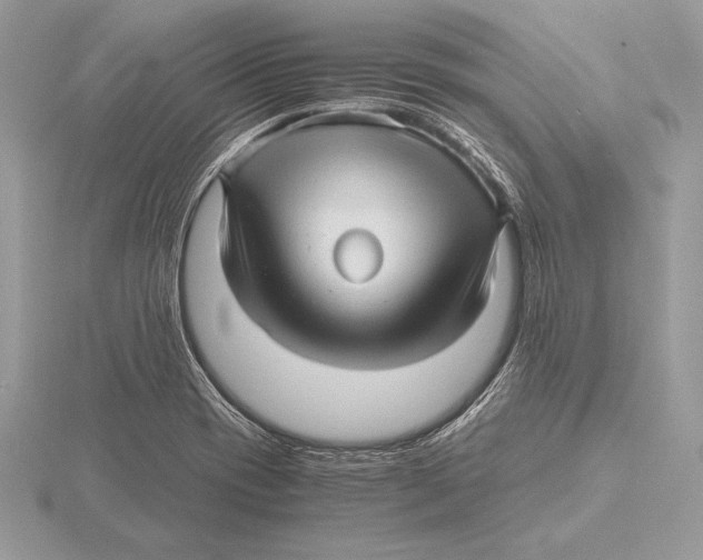 X0000115801417200912111200