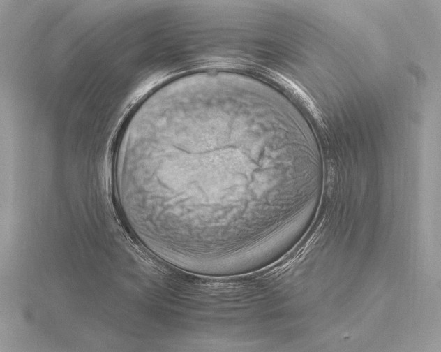 X0000115801419200912111200