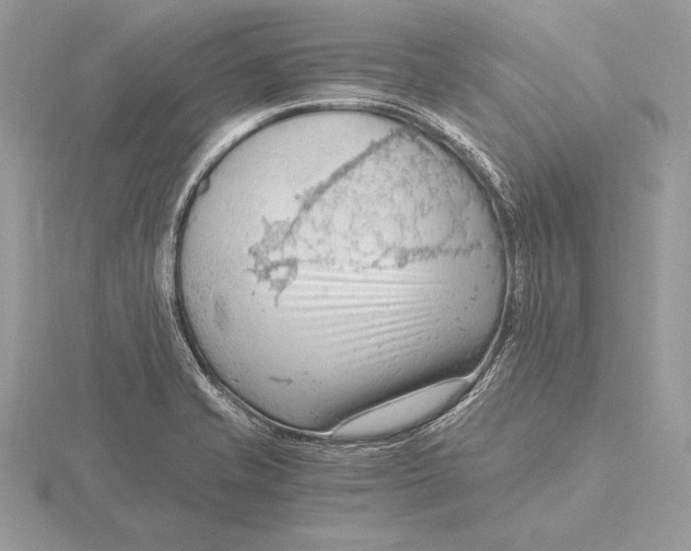 X0000115801421200912111200