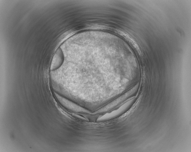 X0000115801425200912111200