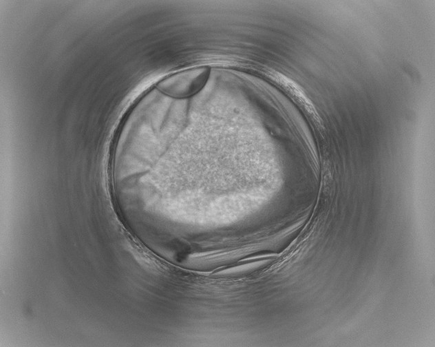 X0000115801427200912111200