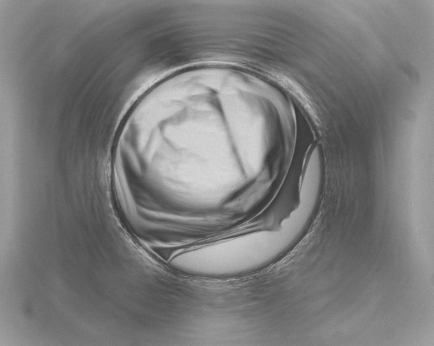 X0000115801428200912111200