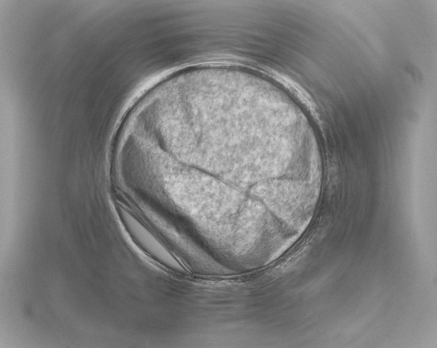 X0000115801429200912111200