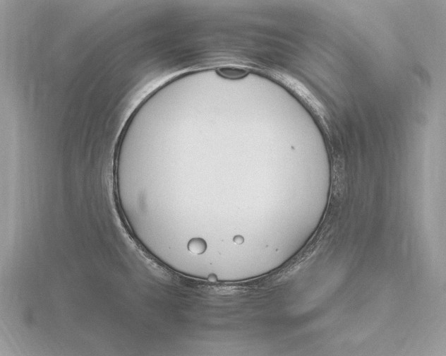 X0000115801431200912111200