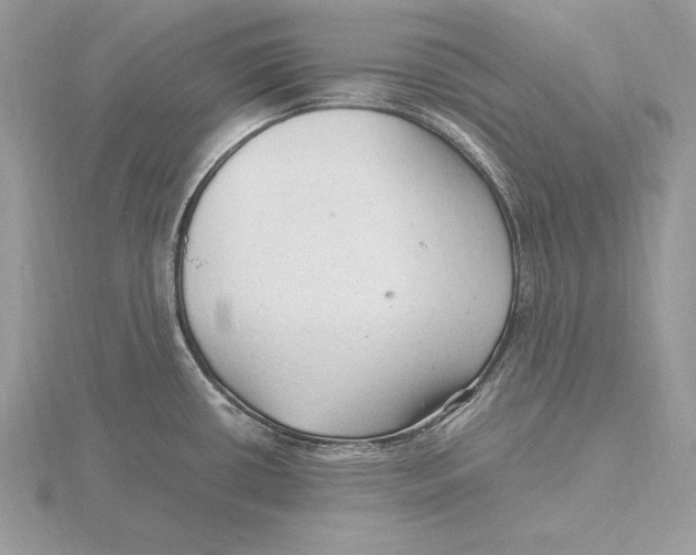 X0000115801434200912111200