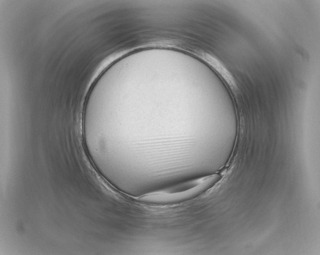 X0000115801436200912111200