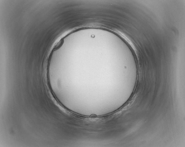 X0000115801437200912111200