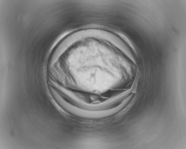 X0000115801438200912111200