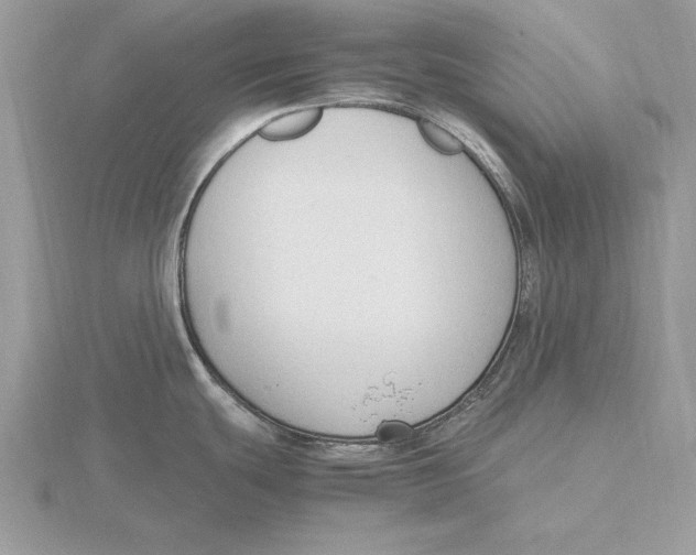 X0000115801439200912111200