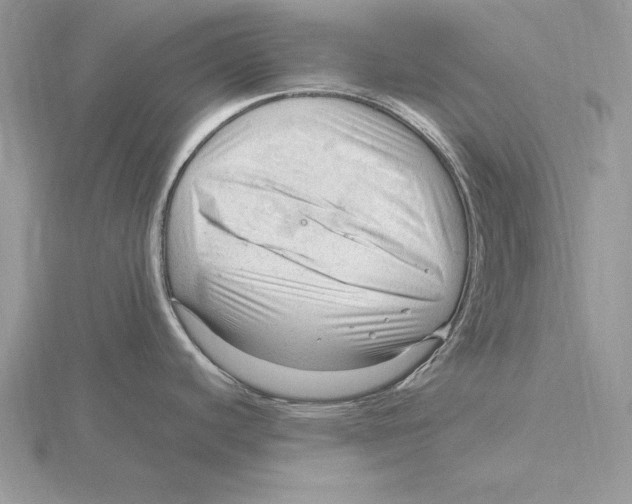 X0000115801440200912111200