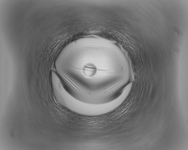 X0000115801441200912111159