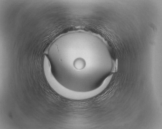 X0000115801443200912111159