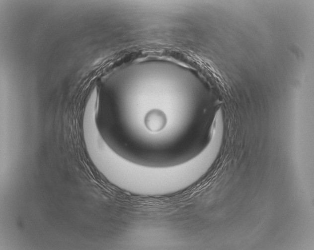 X0000115801445200912111159