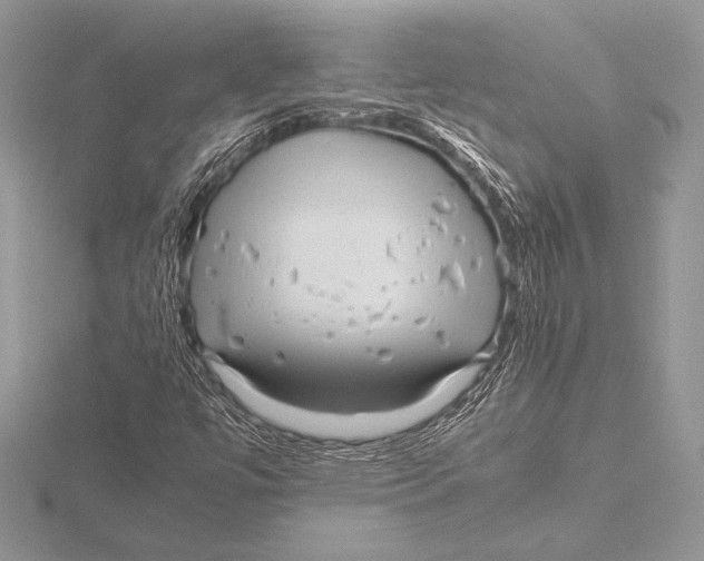 X0000115801447200912111159