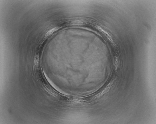 X0000115801449200912111159