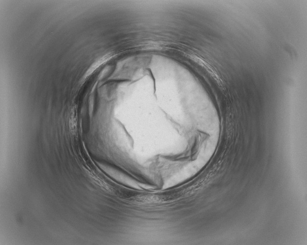 X0000115801450200912111159