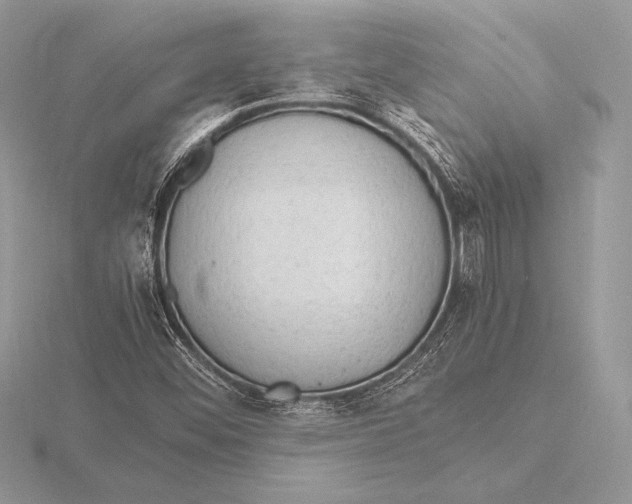 X0000115801452200912111159