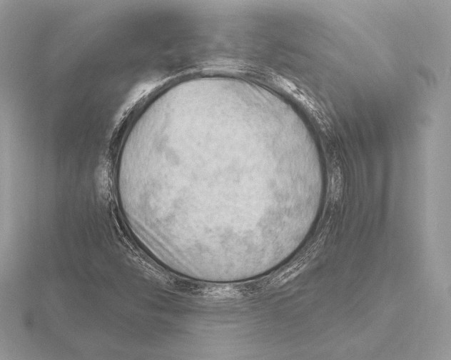 X0000115801454200912111159