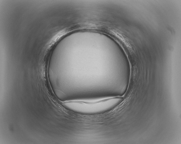 X0000115801455200912111159