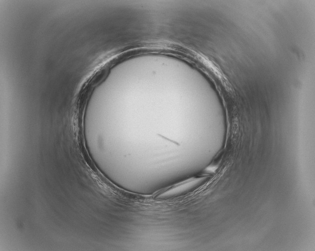 X0000115801456200912111159