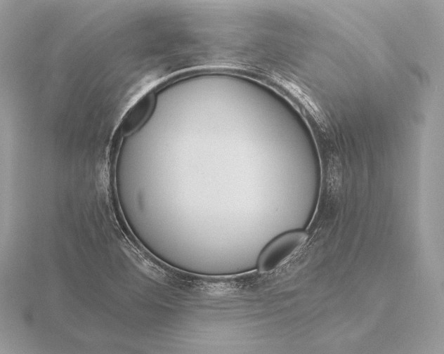 X0000115801460200912111159