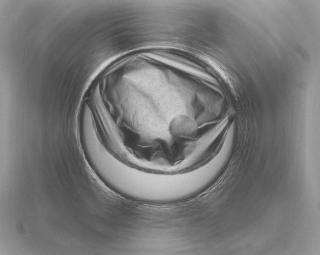 X0000115801468200912111159