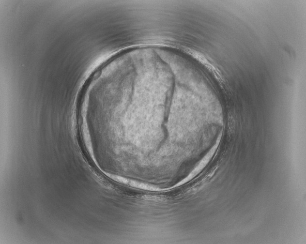 X0000115801469200912111159