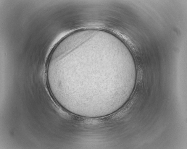 X0000115801470200912111159