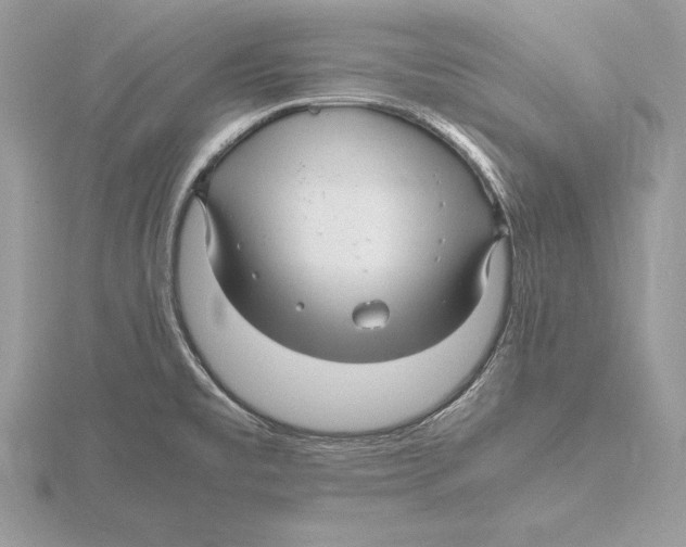 X0000115801477200912111159