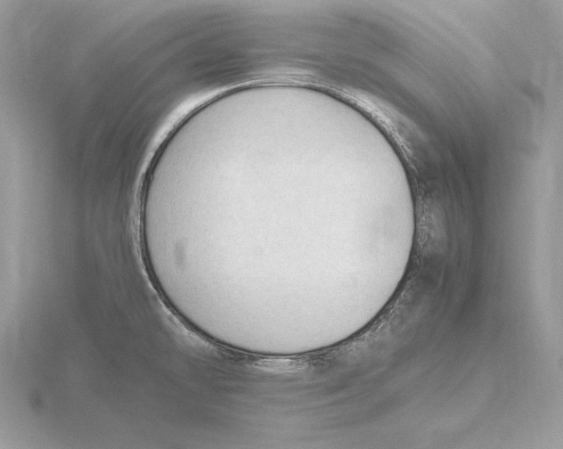 X0000115801478200912111159