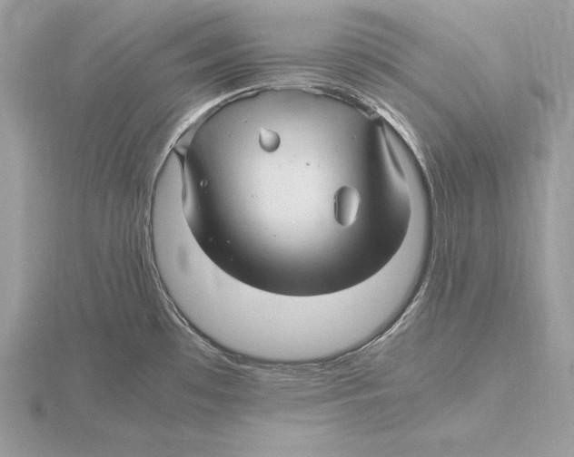 X0000115801481200912111159