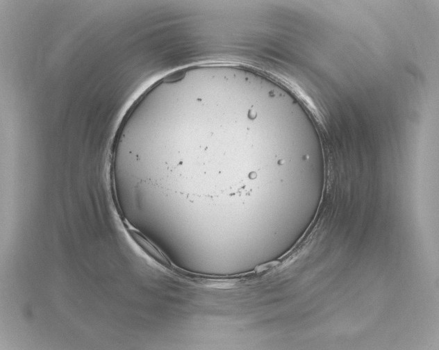 X0000115801484200912111159