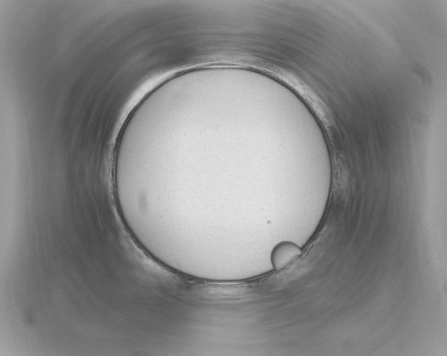 X0000115801486200912111159