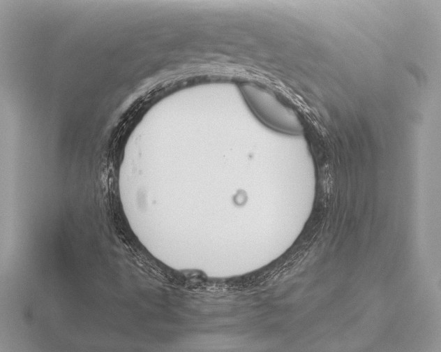 X0000115801495200912111158