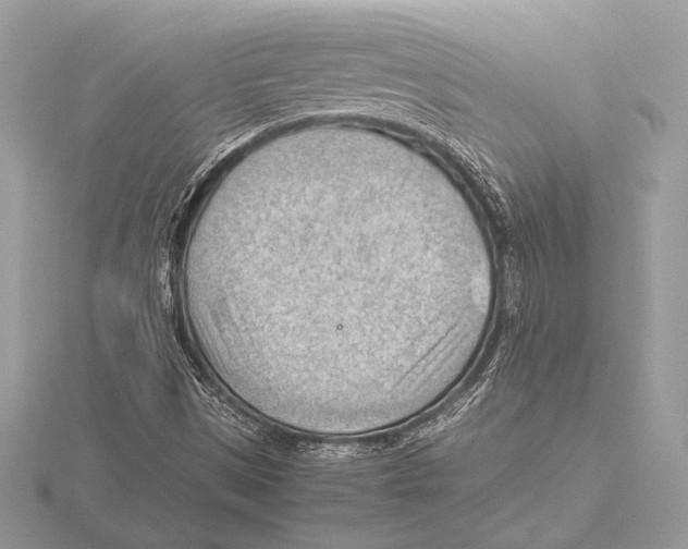 X0000115801497200912111158