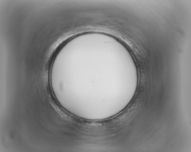 X0000115801503200912111158