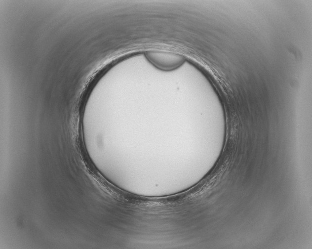 X0000115801507200912111158