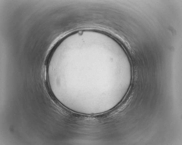 X0000115801509200912111158