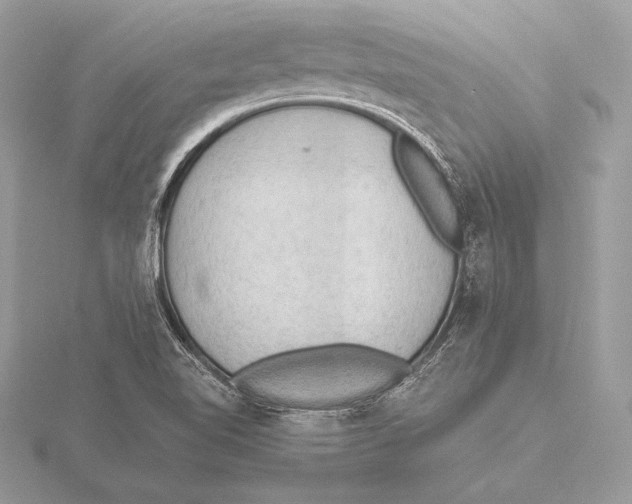 X0000115801510200912111158